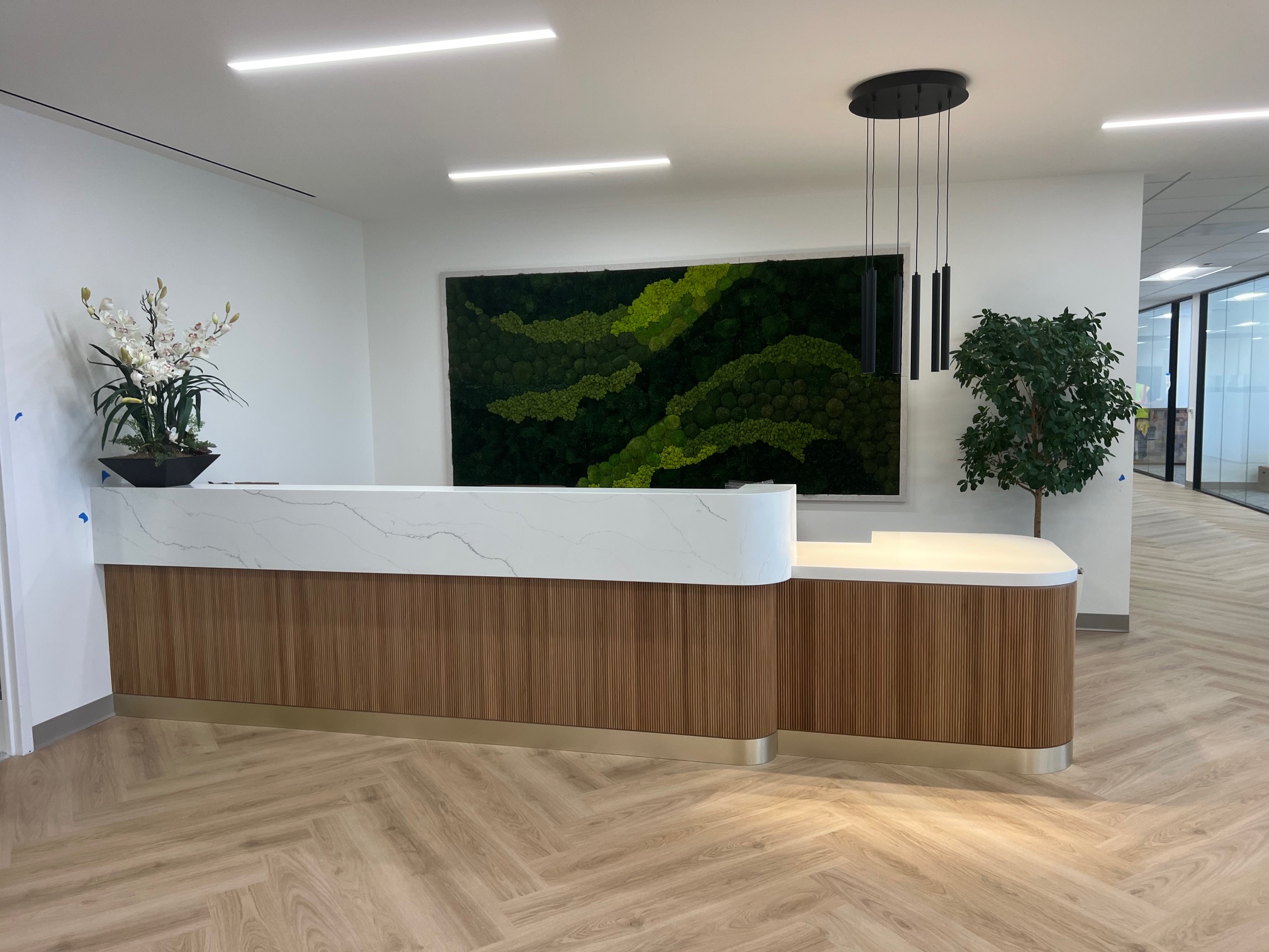 Reception lobby with moss wall and curved desk